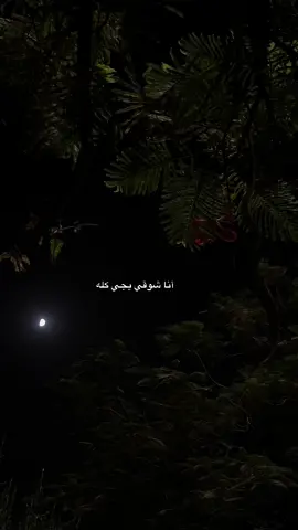 #سعود_الصليلي #نسيت_النوم #fypシ゚viral #انا_شوقي_يجي_كله #foryou #viral 