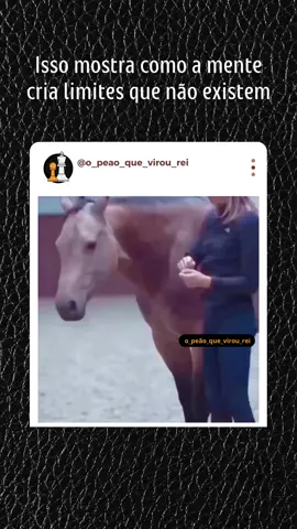 Não deixe que coloquem limites em tua mente | #susseso  #dinheiro  #inteligenciafinanceira  #motivação  #frasemotivação #superação