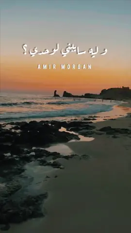 و ليه سايبني لوحدي طول العمر دا  #كارول_سماحة #حبيت_دلوقت #carolesamaha #beach #sunrise #sea #sand #waves #musica #passion #mode #ForYouPage #fyp 