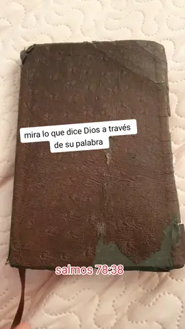 #versiculosbiblicos #versiculosdelabiblia #palabradedios #bibliahablada #textobiblico #biblia #lecturabiblica #palabrassabias 