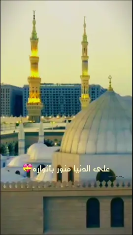 هلا بميلاد أبو الزهراء  🌸......                                         #مولد_النبوي #ولادة_نبي_الرحمة #فرحة #محمد_بوجباره #اعياد #فوريو #فولو #اكسبل #ترند #ستوريات #لايك #علي_فالح #شيعه_الامام_علي #CapCut 