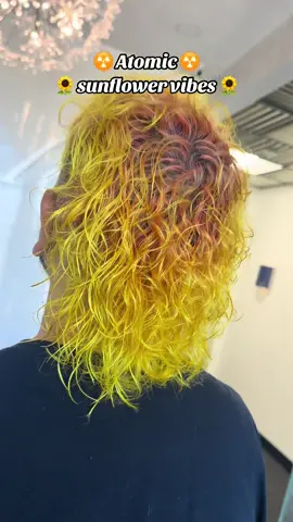 @Pallure ok i see you guys! 👀 these new shades are so pretty 😍 #colormask #pallurepro #hairtok #hairstylist #vividhair #yourstylistbennie #mullet #vividmullet 