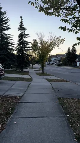 The night is coming🌕#canada🇨🇦 #canada_life🇨🇦 #foryoupage #canada #fun #foryou #on #fypシ゚viral #onepiece #funnyvideos #🇨🇦 