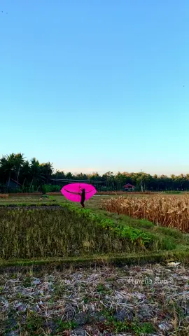 Ceperan Pink Setting Perdana Langsung Ngukuk #layangan #layanganpegon #gapangan #ramraman #layanganceperan #sendaren #ceperan #layanganpink