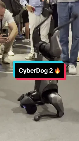 #xiaomi #cyberdog2 #pies #tech 