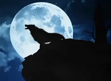 detik detik digo berubah menjadi serigala #ggssctv #ggslovers #ggsloverssctv #digosisi #fypシ゚viral #fyp #fypシ 