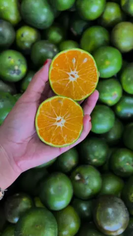 Panas-panas paling pas minum jeruk peras, bos 🤤🍊 #jerukperas #jeruk #esjerukperas #esegar #ayoofresh #buahsegar #segarbenar 