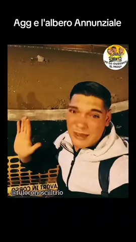 Condividi con gli amici 🤣, ma alla fine dove lo metteranno l'albero Annunziale 🎄 🙈 . #tuloconosciiltrio #aldogiovanniegiacomo #agg #trash #ironia #sarcasmo #humour #commedia #ragazzi #ragazze #amici #meme #memedivertenti #memeita #albero #lingua #parlare #italiano #aldobaglio #giacomoporetti #giovannistorti #teatro #sketch #risate #pensiero #riflessione #dialetto #parole #mood #tml #trashitaliano 