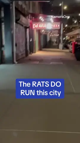 Real life Ratatouille ✨😅 #fyp #ratczar #nyc #rat #gross 