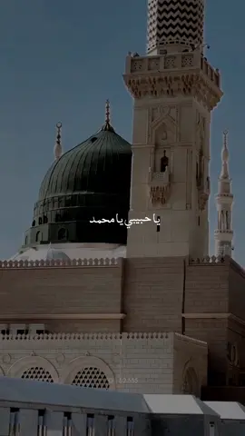 Ya Nabi Slam Alaika #naat #naatsharif #fypシ #32.335 #viral #trending #makkah #muhammadpbuh #makemefamous #نعت 