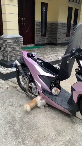 Sad Acc 70k Keblokir #kyrick⚡ #sad #fyp #beranda #strettrondol 