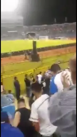 #ultras #football #dog 