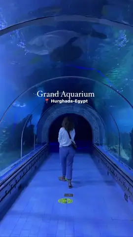 It’s a public aquarium in Hurghada Red Sea, representing 100 species,You can go anytime without prior reservation, buy the ticket at the entrance 300 EGP for Egyptians and 32$ for foreigners.