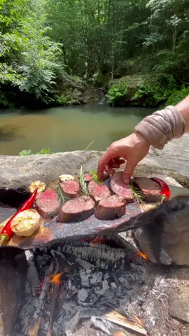 The video that started it all - “Beef Tendorloin on a Stone Stove”🥩 #cooking #outdoorcooking #Recipe #asmr #beef #steak #meat #nature 