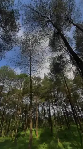 #ustadzabdulsomad #tetaplahbersyukur🤲 