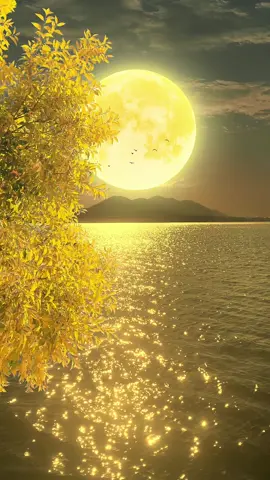Trăng tròn toả sáng như viên ngọc giữa trời đêm🌝🌝🌝 #nabibeautysharer #hinhnendienthoaidep #trăng 