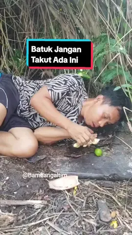 Obat Ampuh Alami Batuk Alami . Jahe/Halia Vs Jahe #makanjahementah #makanhaliamentah  #makanjeruknipis #makanlimaunipis #obatbatuk #obatbatukalami 