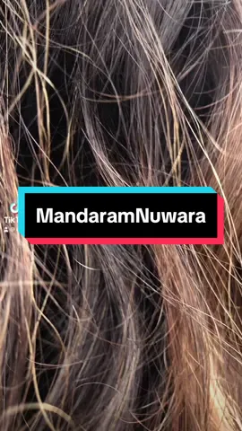 Mandaram Nuwara #mandaramnuwara #mandaramnuwara🌿☘️ #craftsbylucky #CapCut #mandaram #mandaramnuwara #girlboss #traveltiktok #traveltok 