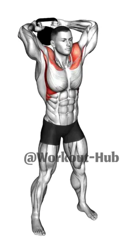 Shoulder exercises #gym #fitnesstippsvideo #motivation #bodybuilding #shoulderworkout #shoulderexercise #tiktok #viraltiktok #trendingtiktok #reels__tiktok 