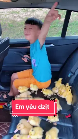 Em bé rất yêu động vật, Yêu vịt có gì sai? Cậu bé đáng yêu và những chú vịt. #cl#cliptrieuviewy#fypi#giaitriu#xuhuong2023a#caubem#emyeuvit