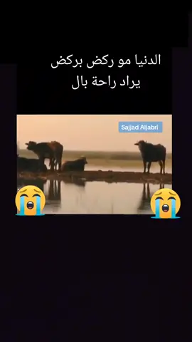مساكم الله بالخير 