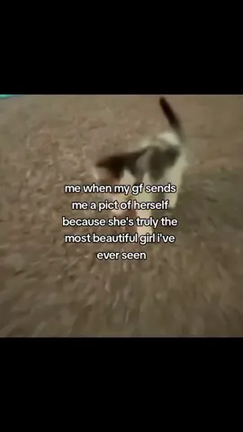 #cat #ilovemygf  #happyhappycat 