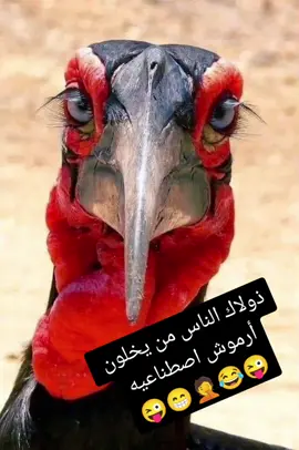#حفلات_عراقية #حفلات #😏😏 #الشرطه #الاطباء #كليات #اكسبلورexplore #متابعيني_احبكم #مشاهير_تيك_توك #ااكليكتبدولةفيالتعليقات #الكليه_العسكريه_مصنع_الابطال #جامعات_العراق #جامعات #اضحك #تحشيش #احلاه #اضحك_من_قلبك 