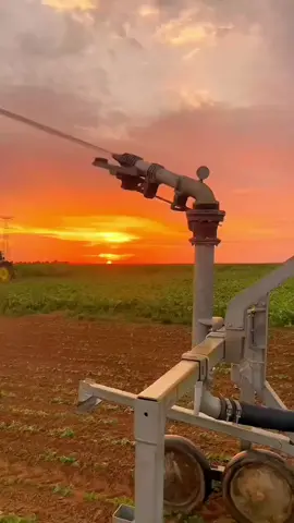 Natural Wonders#Cure#Share it with you.#A beautiful sea of flowers#Cherry Blossoms#The Chrysanthemum#Sunflower#The afterglow of sunset