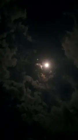 setenang ini di bawah langit malam melihat awan bergerak di bawah bulan🥰