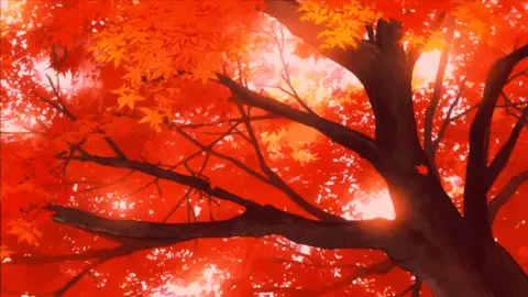 🍁Harvest moon tonight 🌕 #anime #animeaesthetic #fall #fallanime #animevintage #autumn #autumnanime #yourlieinapril #fallaesthetic #japan #japanfall #animeedit #anime2000s #anime90s #falledit #animefood #foodanime #ramen 