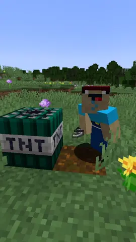 TNT ENDER #short #Minecraft #minecraftmemes 