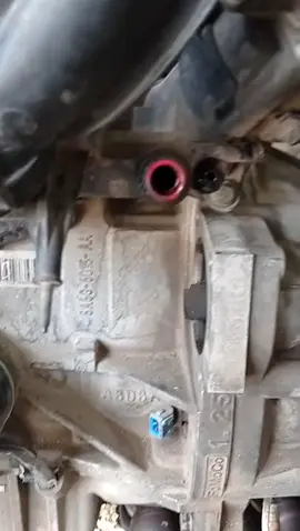 Capteur vilebrequin Capteur de régime moteur - Crankshaft sensor Engine speed sensor - #حساس العمود المرفقي حساس سرعة المحرك#المحرك @mecniquemokhtar  @mecaniquemokhtar @mecaniquemokhtar0 @mecaniquemoktar @mecanicienn #MecanicienMokhtar #mecanicien #mecanicienauto