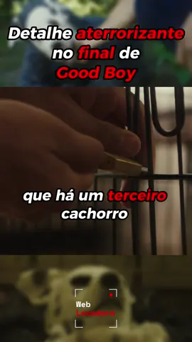 Detalhe Cena Final de Good Boy bizarr0 que você provavelmente não percebeu #goodboy #filme #resumodefilme #plottwist #indicaçaodefilme #suspense #misterio #terror