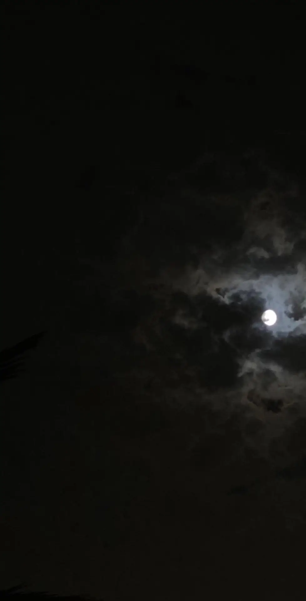 اتصور خيالك كل ليل ونهار              #اكسبببببببلور #fypシ #قمرا #اكسبلوووووررررررررررر #مالي_خلق_احط_هاشتاقات🧢🙂😂 #ليلة 