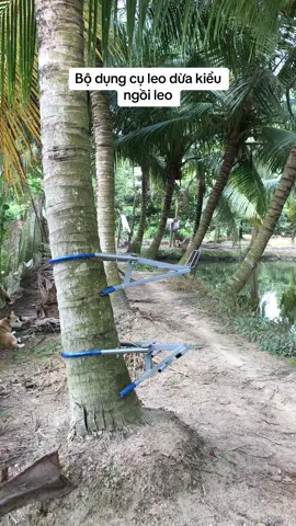 Dụng cụ leo dừa an toàn kiểu ngồi leo- giúp người leo dễ dàng leo và thao tác đơn giản nhưng hiệu quả cao và ko tốn nhiều công sức. #Master2023byTikTok #dungcunongnghiep #nongcu 