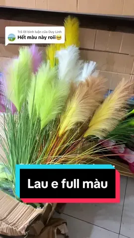 Trả lời @Duy Linh e full màu rồi ạ #hoaluathanhxuan #hoacolau #colau  #lau #hoalau #hoagia #hoatrangtri #lau 