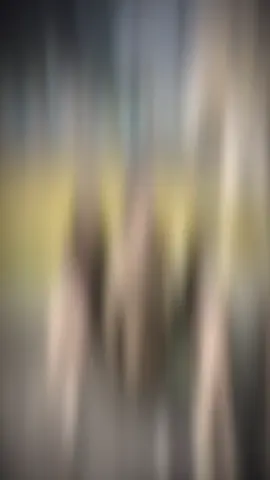 #CapCut Hỗ trợ tình cảm toàn nago 😆 #viral #aichi23🇯🇵 