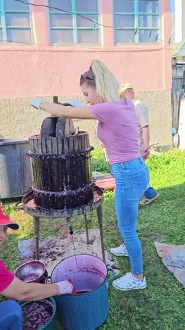 #vinutu #vinelu #vin #must #sezon #struguri 