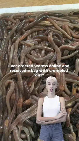 #CapCut #giterdonebait #crawlers #wigglers #worms #mealworms 