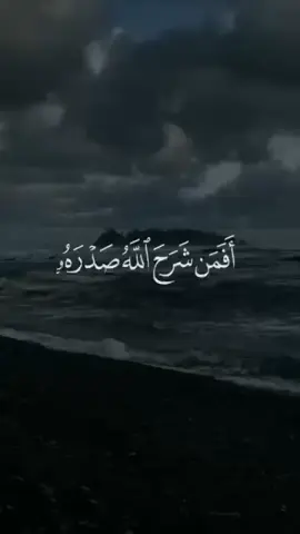 تلاوة نادرة للشيخ محمد المحيسني #محمد_المحيسني #قران #quran #viral #foryoupage #ارح_سمعك_بالقران 