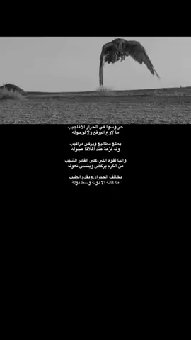 #تصميمي #طير #ياسر_التويجري #قصيد #اكسبلورexplore #صقر #طير_الحر #اكسبلور 