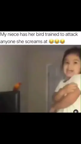 bird woman #cute #meme #lol #jokes #funny 