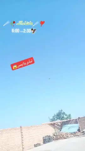 #shok💕 #flypシ #foryoupage #growmyaccount #standwithkashmir @✨:-$♡M،،، 💕Shabi💕 وڑائچ ☄️ 