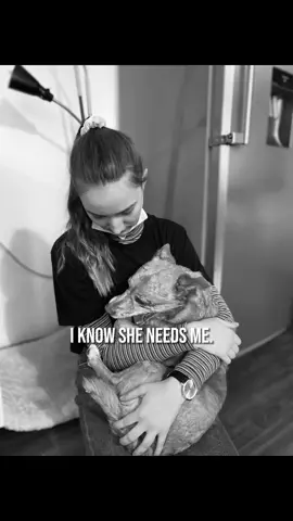 Es tut so weh. Er hat mich so viel gelehrt und jetzt passt er von oben auf😓🌈🕊️   #CapCut 