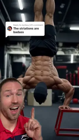 Build a strong and muacular back! #stitch with @Stipke #bodybuilding #gym #powerlifting #workout #lifting #Fitness 