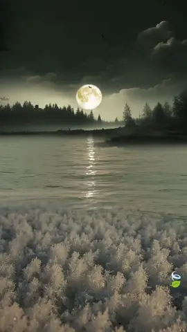 #CapCut #sunset #scenery #moon #foryou #travelinnature 