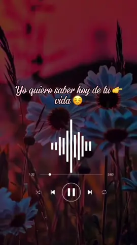 Y es que nunca pude dejar de Amarte 🥺♥️#CapCut #capcut #broncos #porretenerte #musica #letras #parati #canciones #bonitas #inolvidables #dedicasela #amor #enamorados 