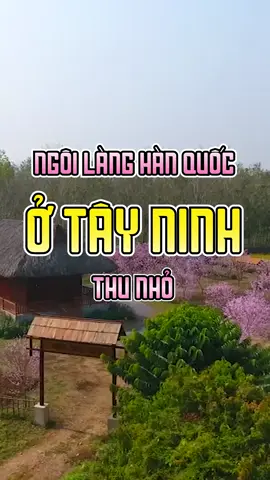 Làng Hàn Quốc ở Tây Ninh #Thuyhoavien  #dulichtayninh #diemdentayninh #dulichsinhthai #travel