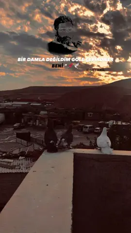 𝐀𝐇𝐌𝐄𝐓 𝐊𝐀𝐘𝐀🖤🕊️#storylik #storylikvideolar #ahmetkaya #cizre #keşfet 