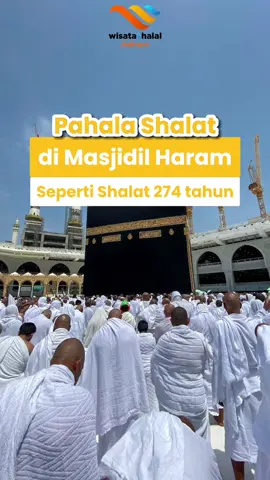 Khusus untuk tanah haram di Makkah, kita ketahui bahwa pahala shalat di Masjidil Haram adalah 100.000 kali dari shalat di masjid lainnya. Dari Jabir, Nabi shallallahu ‘alaihi wa sallam bersabda, “Shalat di masjidku (Masjid Nabawi) lebih utama daripada 1000 shalat di masjid lainnya selain Masjidil Harom. Shalat di Masjidil Harom lebih utama daripada 100.000 shalat di masjid lainnya.”  (HR. Ahmad dan Ibnu Majah) Source: Rumaysho.com #umrohhemat #umrohsesuaisunnah #makkah #mekkah #masjidilharam #wisatahalalindonesia #umrohindonesia 
